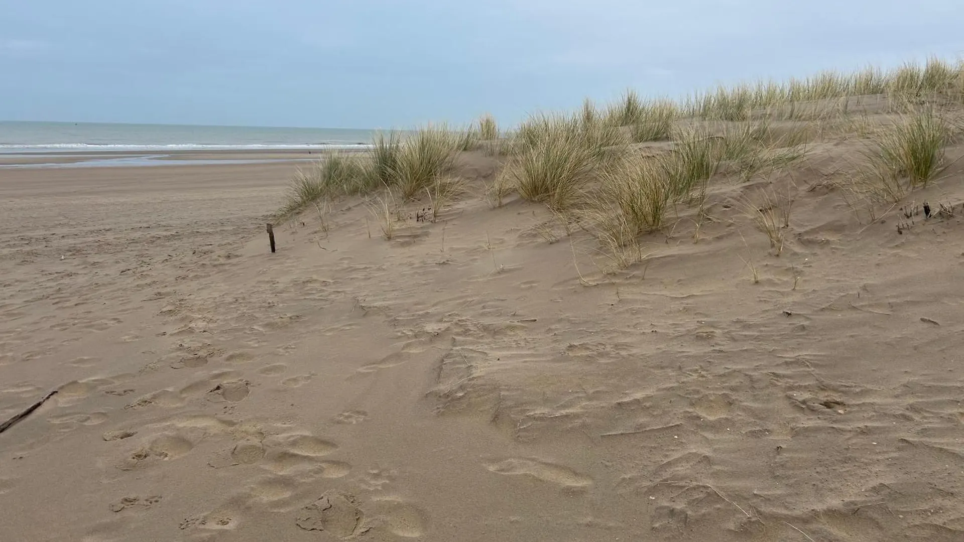 Centraal Gelegen Gezellig Verblijf Met Groot Terras Ostende Belgie